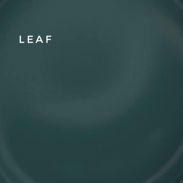 Cover base Leaf 04216 фото